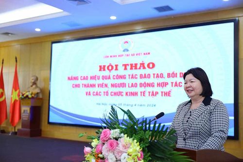 Hút nhân lực cho hợp tác xã, thúc đẩy 'kiềng 3 chân'