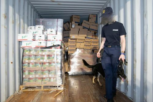 Báo động tình trạng bạo lực súng đạn ở thủ đô của Bỉ liên quan tội phạm ma túy