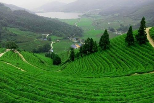 Xúc tiến, quảng bá du lịch 'xứ chè' Thái Nguyên tại Tp.HCM năm 2024