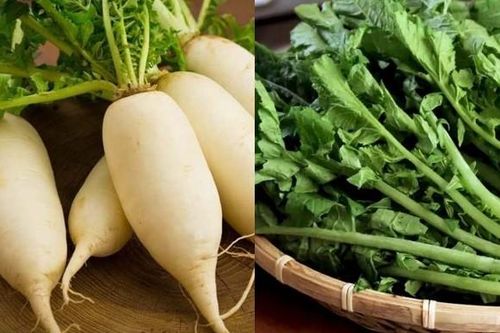 Loại lá củ phổ biến ở Việt Nam có tác dụng tăng cường trí nhớ nhưng nhiều người lại cắt bỏ