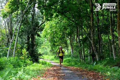 Cúc Phương Jungle Paths 2024 thu hút hơn 2.000 vận động viên