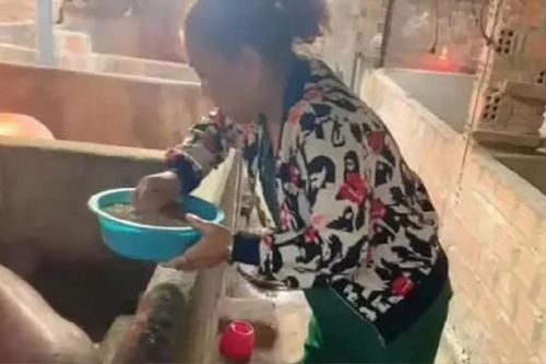 Nữ ca sĩ Việt tuyên bố vỡ nợ 40 tỷ đồng, phải về quê nuôi heo