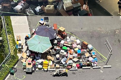 Vụ nuôi 19 con chó ở chung cư: 'Khóc thét' khi thú cưng phóng uế bừa bãi, hôi thối