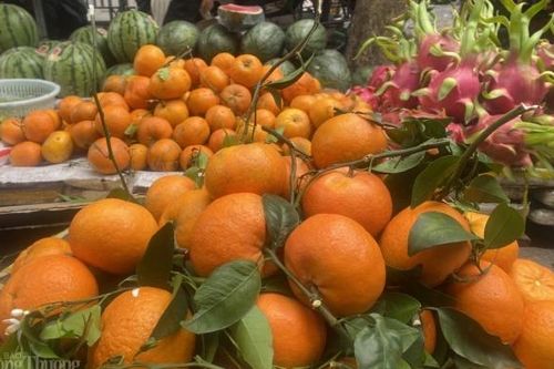 Quýt Úc tràn lan, giá siêu rẻ: Liệu có thực sự từ Úc?