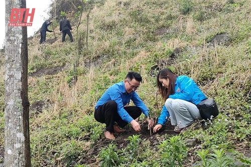 'Chắp cánh' khởi nghiệp cho thanh niên vùng dân tộc thiểu số