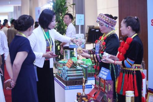 Đổi mới chương trình đào tạo để nâng cao chất lượng nguồn nhân lực cho các hợp tác xã