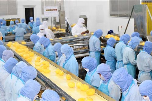 An Giang hành động vì mục tiêu tăng trưởng xanh