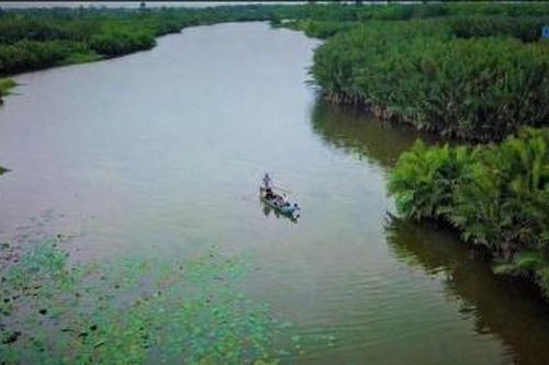 Hoang sơ rừng dừa nước Tịch Tây