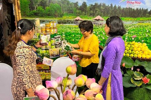Đồng Tháp tham dự Ngày hội Du lịch TP Hồ Chí Minh năm 2024