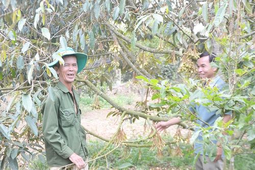 Phát huy vai trò của Quỹ Hỗ trợ nông dân