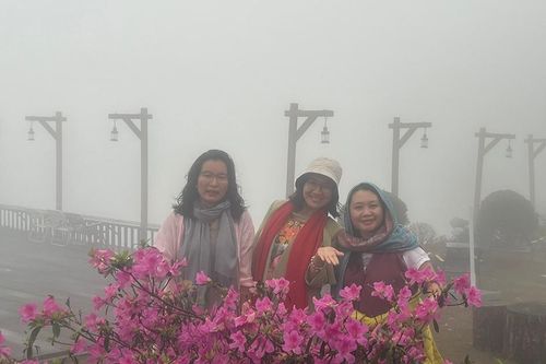 Miền sương Tam Đảo