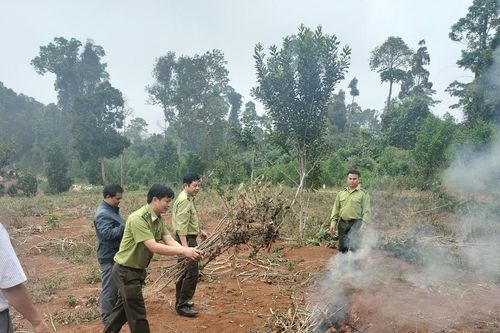 Hạt Kiểm lâm huyện Kbang tiêu hủy 2 cá thể khỉ vàng đã chết