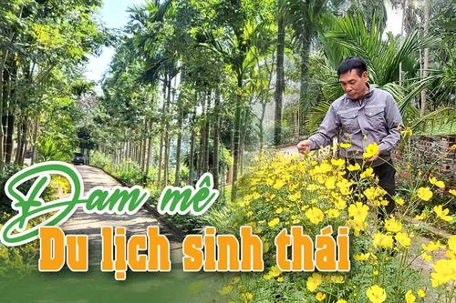 Đam mê du lịch sinh thái