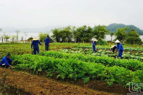 Gian nan nẻo về