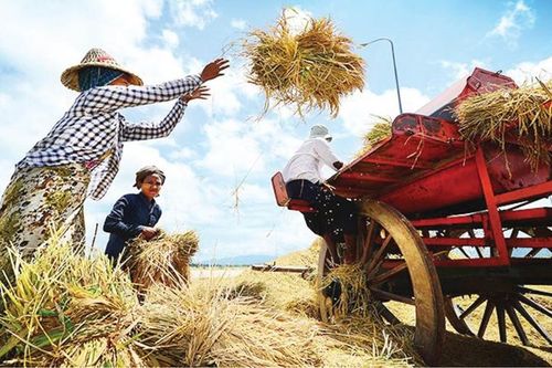 Nắng nóng thiêu đốt Đông Nam Á: Nông trại khô cằn, trường học đóng cửa