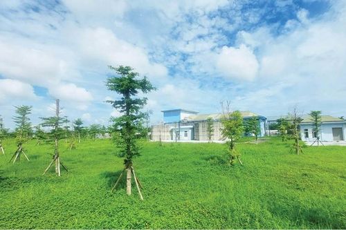 'Lá phổi xanh' giữa đô thị Huế