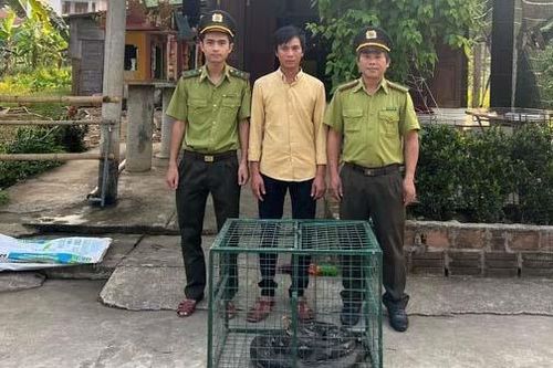 Phát hiện cá thể trăn gấm quý bò vào nhà