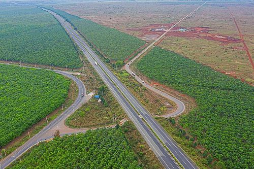 Cao su Việt Nam (GVR): Đã có quyết định chuyển đổi 25.000 ha đất cao su sang đất công nghiệp