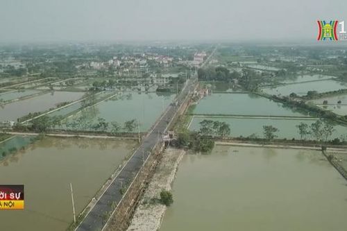 Xây dựng nông thôn mới kiểu mẫu vướng nhiều tiêu chí