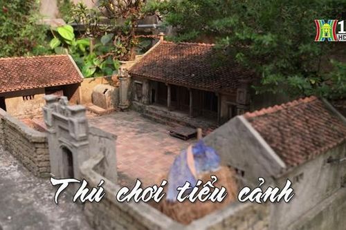 Thú chơi tiểu cảnh! Nhịp sống Hà Nội| 5/4/2024