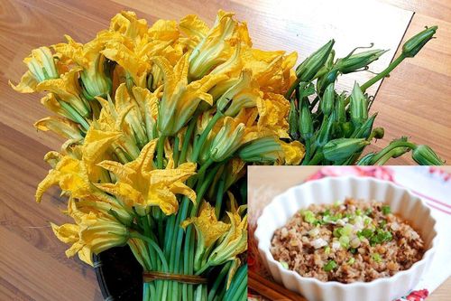 Điểm danh món ngon dễ làm từ bông bí