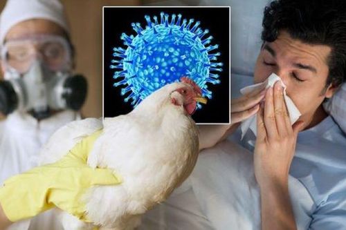 Nóng: Việt Nam ghi nhận ca bệnh cúm A(H9) trên người đầu tiên từ trước đến nay