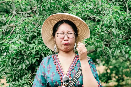 Nhắm mắt, mím môi ăn mận Mộc Châu đầu mùa