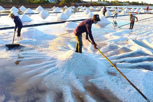 Diêm dân Bạc Liêu lo lắng giữ nghề di sản