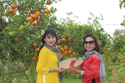 Đồng Tháp: khai thác du lịch từ các vườn xoài, quýt