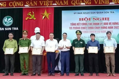 Tăng cường công tác bảo vệ bán đảo Sơn Trà