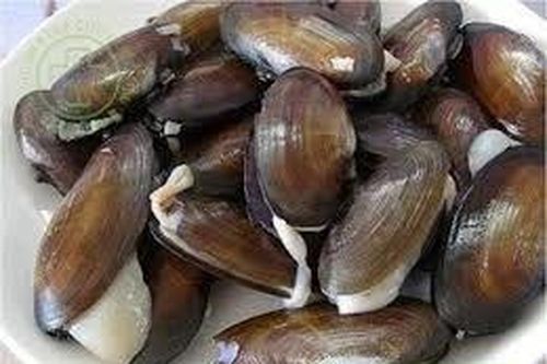 Malaysia: Nhiều ca ngộ độc thực phẩm do ăn trai