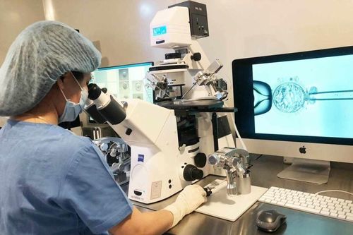 Sàng lọc phôi để sinh con khỏe mạnh: Hy vọng cho người mang gene bệnh hiếm
