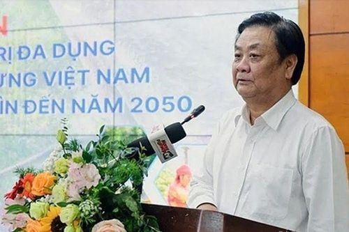 Làm gì để 'biến rừng thành vàng'?