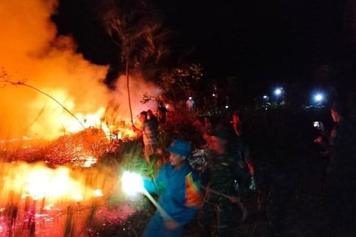 Huy động các lực lượng khẩn trương chữa cháy rừng trong đêm tại Lăng Cô