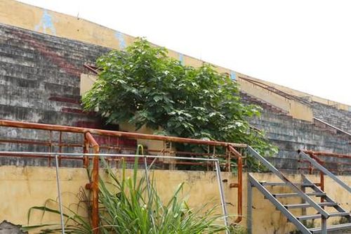 Sân vận động 'hoành tráng' nhưng 'ngủ quên' cả chục năm ở Hà Nội
