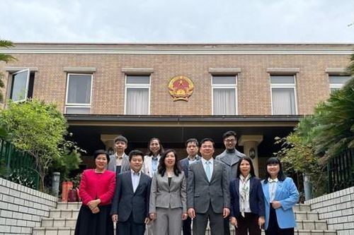 Thứ trưởng Lê Thị Thu Hằng làm việc với các chuyên gia, trí thức Việt Nam tại Nhật Bản