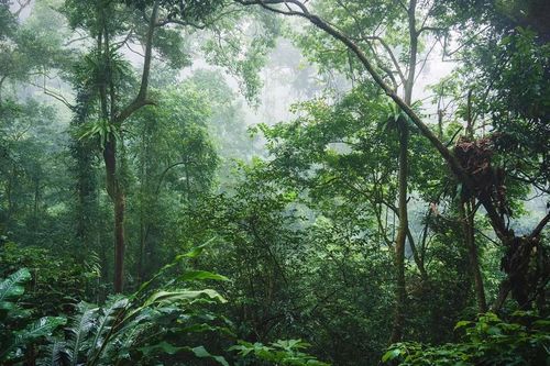 Bộ trưởng Lê Minh Hoan nhắc 'câu thần chú' để mở kho báu từ rừng