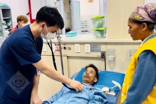 Uống lá cây lộc mại chữa táo bón, người đàn ông 50 tuổi suýt tử vong