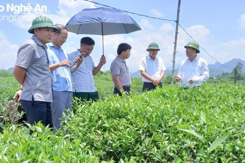 Học tập và làm theo Bác, huyện Anh Sơn đề cao tính nêu gương của cán bộ, đảng viên