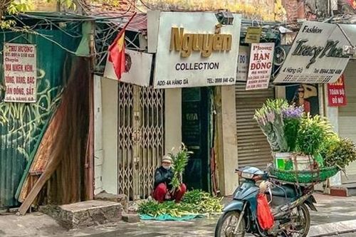 Rạng ngời bình minh phố