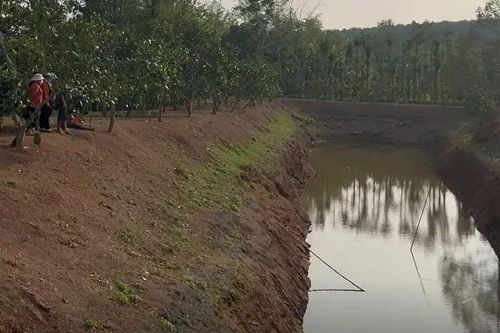 Đắk Nông: Rủ nhau đi tắm tại ao tưới càphê, hai em nhỏ 10 tuổi đuối nước