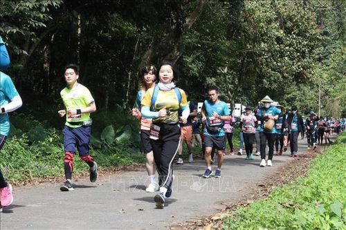 Trên 2.000 VĐV đến từ nhiều quốc gia tham gia giải 'Chạy để bảo tồn'