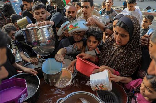 LHQ kêu gọi phản ứng toàn cầu khẩn cấp để giải quyết khủng hoảng ở Dải Gaza