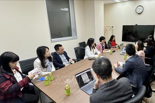 Tiếp tục thúc đẩy hợp tác Việt Nam - Nhật Bản trên nhiều lĩnh vực