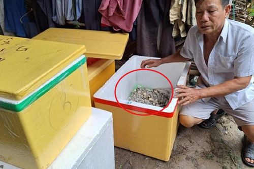 Anh nông dân nuôi 'con vật hiền khô' nhẹ nhàng thu lãi 100 triệu đồng