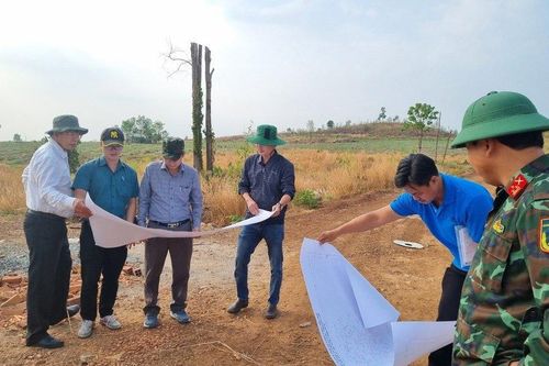 Đắk Lắk: Sắp cưỡng chế thu hồi hơn 700ha đất rừng bị lấn chiếm