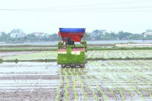 Xuất khẩu sang châu Âu: Doanh nghiệp phải tập trung toàn lực làm báo cáo phát thải