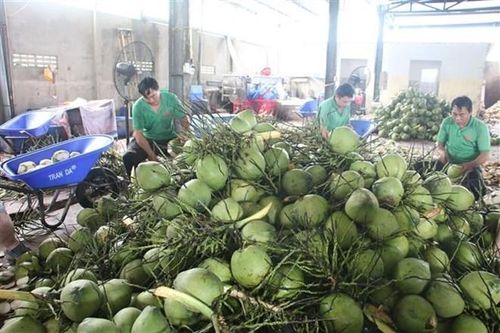 Đồng nhất, đồng chất sản phẩm xuất khẩu
