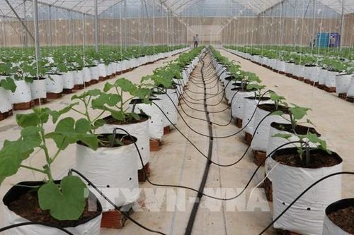 Doanh nghiệp ứng dụng công nghệ cao sẽ được hưởng Quỹ Hỗ trợ đầu tư