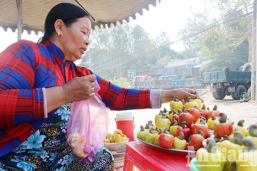 Về Bảy Núi ăn đào